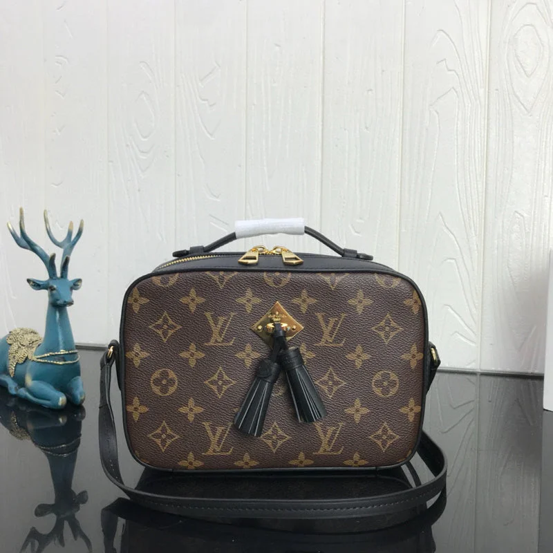 Louis Vuitton Bags